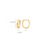 Blush earrings 14k gold 7224YGO