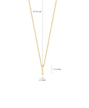 Blush ketting 14k goud 3093YGO